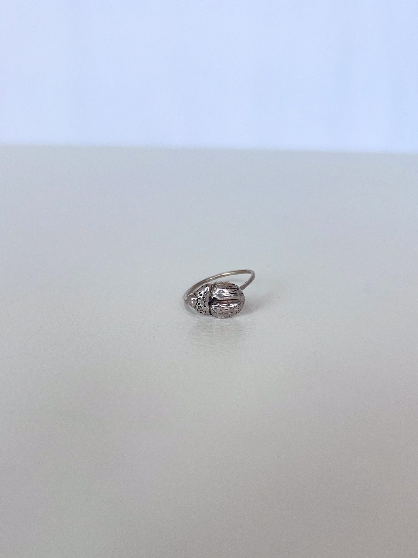 Ring no. 13